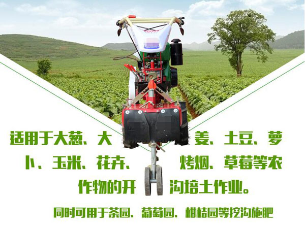 大葱，大姜，土豆，萝卜，玉米专用开沟培土机